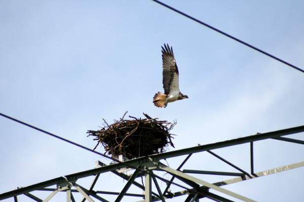 Killikus&reg; Fotographie